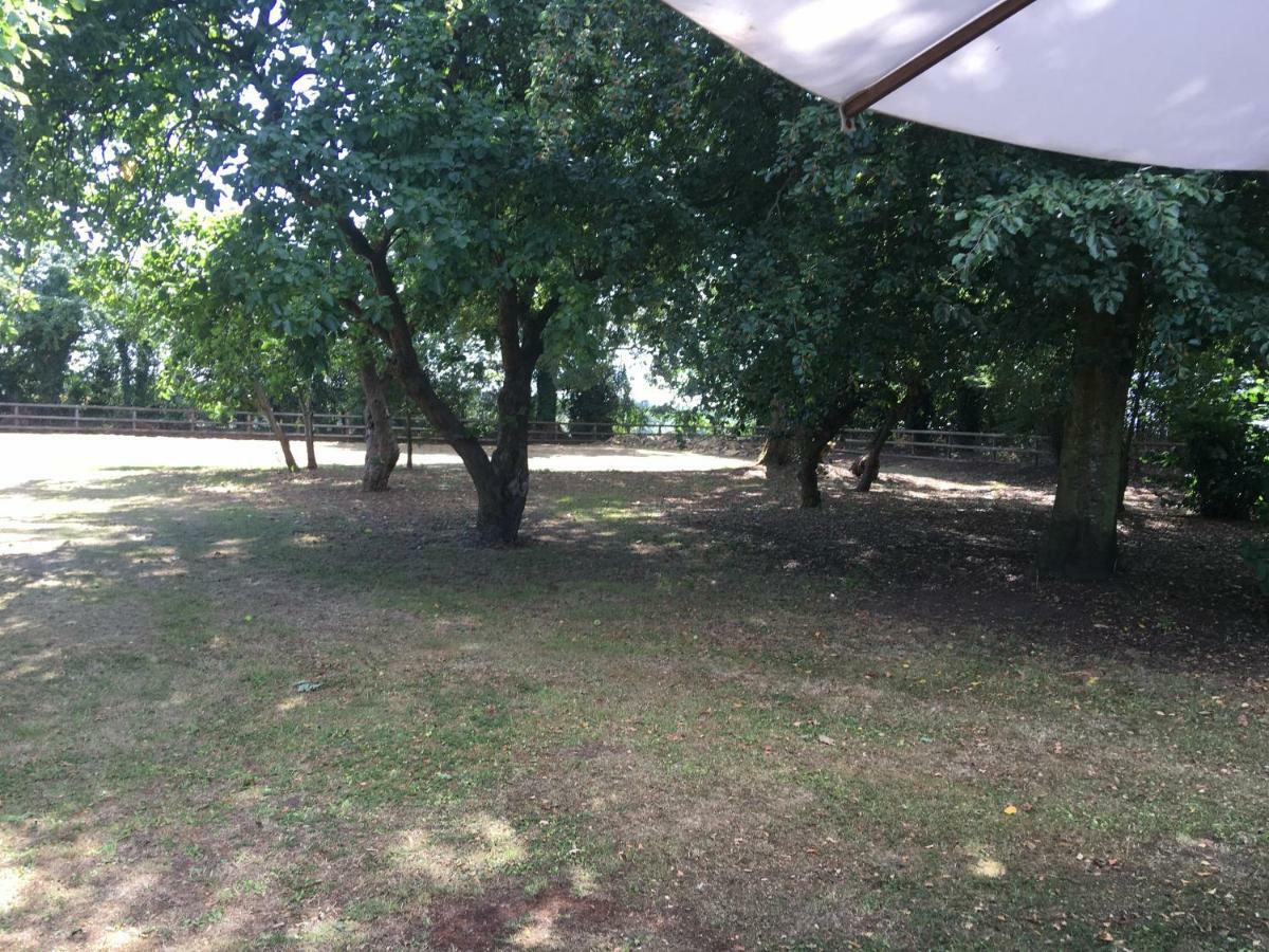 לינה וארוחת בוקר סירנססטר Field End House Strawberry Lane Meysey Hampton מראה חיצוני תמונה